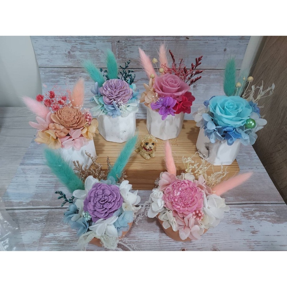 🌺花草遊戲🌺名片夾盆栽🌹擴香花 索拉花 永生花 小盆栽 繡球花 情人節盆花💏婚喪喜慶/喬遷/升官🌹開幕送禮盆栽-細節圖2