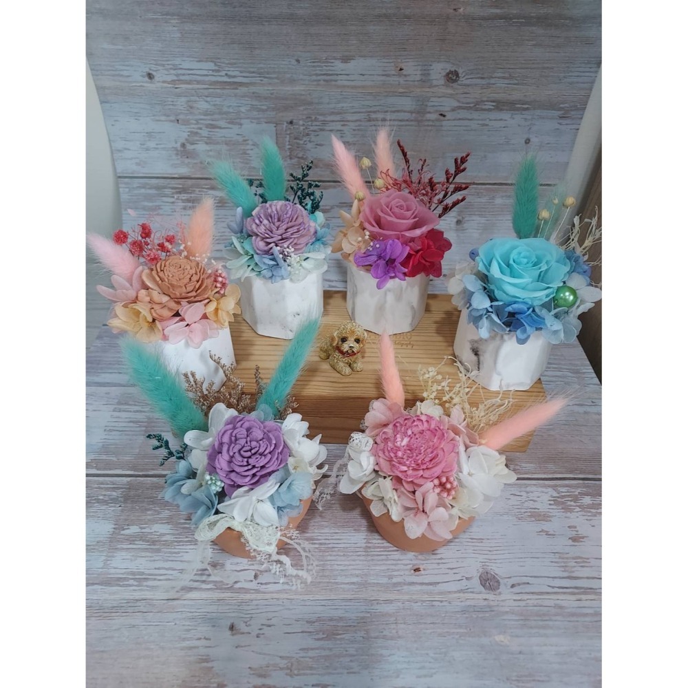 🌺花草遊戲🌺名片夾盆栽🌹擴香花 索拉花 永生花 小盆栽 繡球花 情人節盆花💏婚喪喜慶/喬遷/升官🌹開幕送禮盆栽-細節圖4