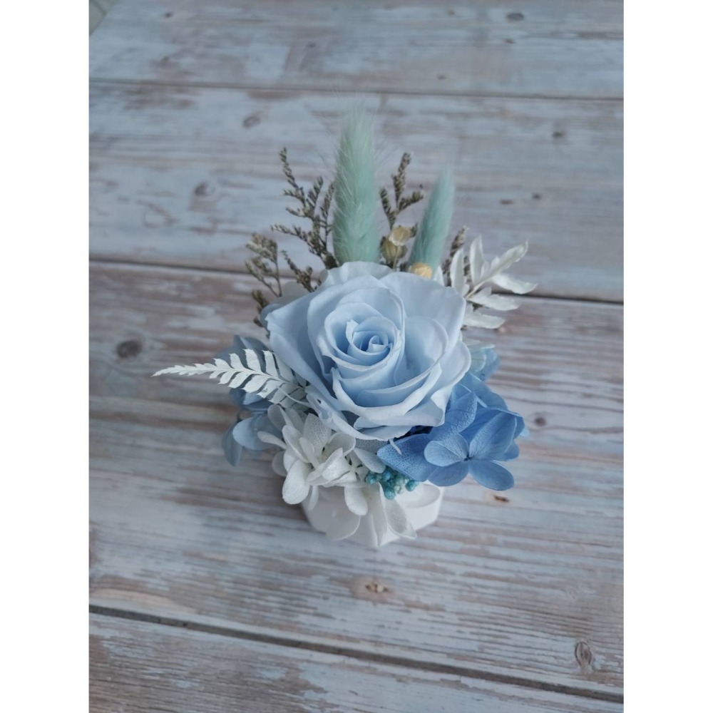 🌺花草遊戲🌺名片夾盆栽🌹擴香花 索拉花 永生花 小盆栽 繡球花 情人節盆花💏婚喪喜慶/喬遷/升官🌹開幕送禮盆栽-細節圖7