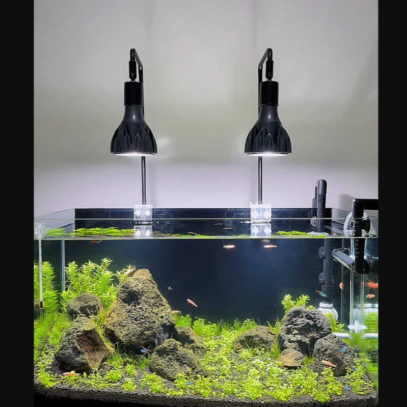 （30W高亮款）植物燈全光譜 植物燈 植物生長燈 E27植物燈泡 多肉植物燈 塊根植物燈 植物補光燈 全光譜燈泡-細節圖2