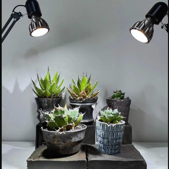 （30W高亮款）植物燈全光譜 植物燈 植物生長燈 E27植物燈泡 多肉植物燈 塊根植物燈 植物補光燈 全光譜燈泡-細節圖3