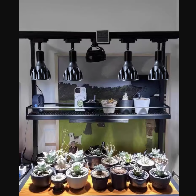（30W高亮款）植物燈全光譜 植物燈 植物生長燈 E27植物燈泡 多肉植物燈 塊根植物燈 植物補光燈 全光譜燈泡-細節圖4