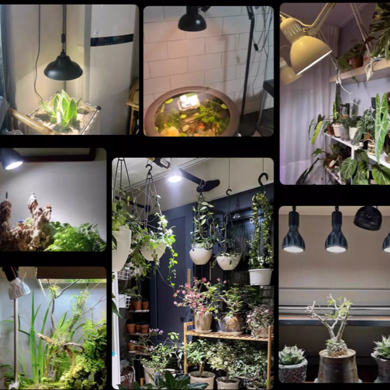 （30W高亮款）植物燈全光譜 植物燈 植物生長燈 E27植物燈泡 多肉植物燈 塊根植物燈 植物補光燈 全光譜燈泡-細節圖5