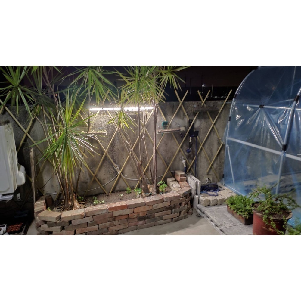 （全新原廠菲利浦燈管）單邊入電。整箱出貨，買貴全額退，出清特價。-細節圖10