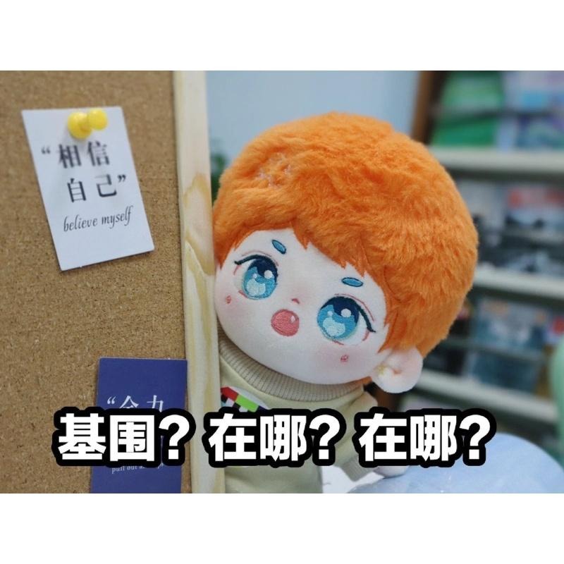 20cm棉花娃-橘梔皮/粉絲向棉花娃/張哲瀚/龔俊/山河令-細節圖2