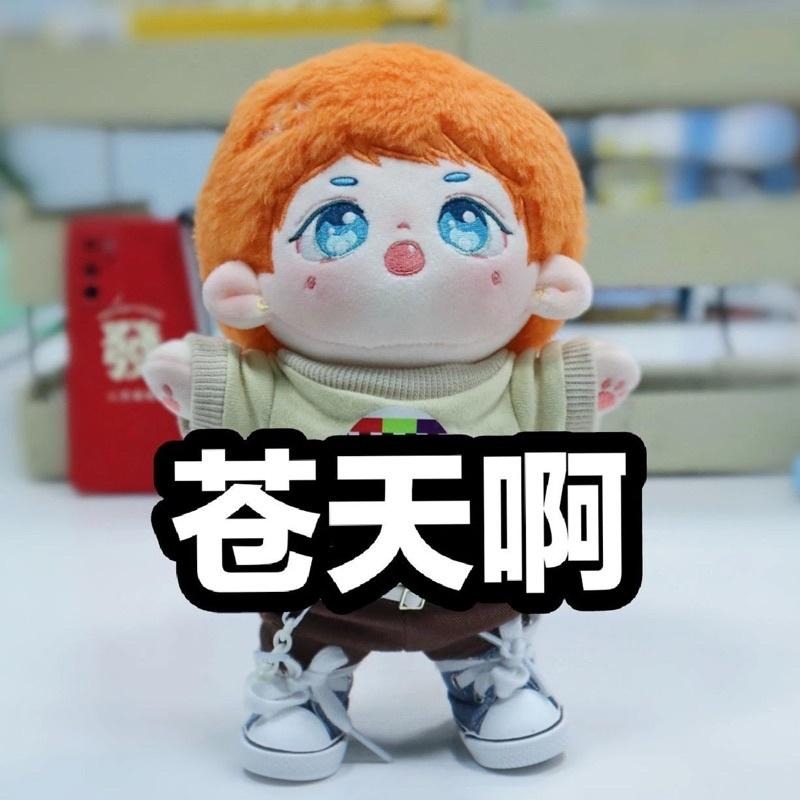 20cm棉花娃-橘梔皮/粉絲向棉花娃/張哲瀚/龔俊/山河令-細節圖4