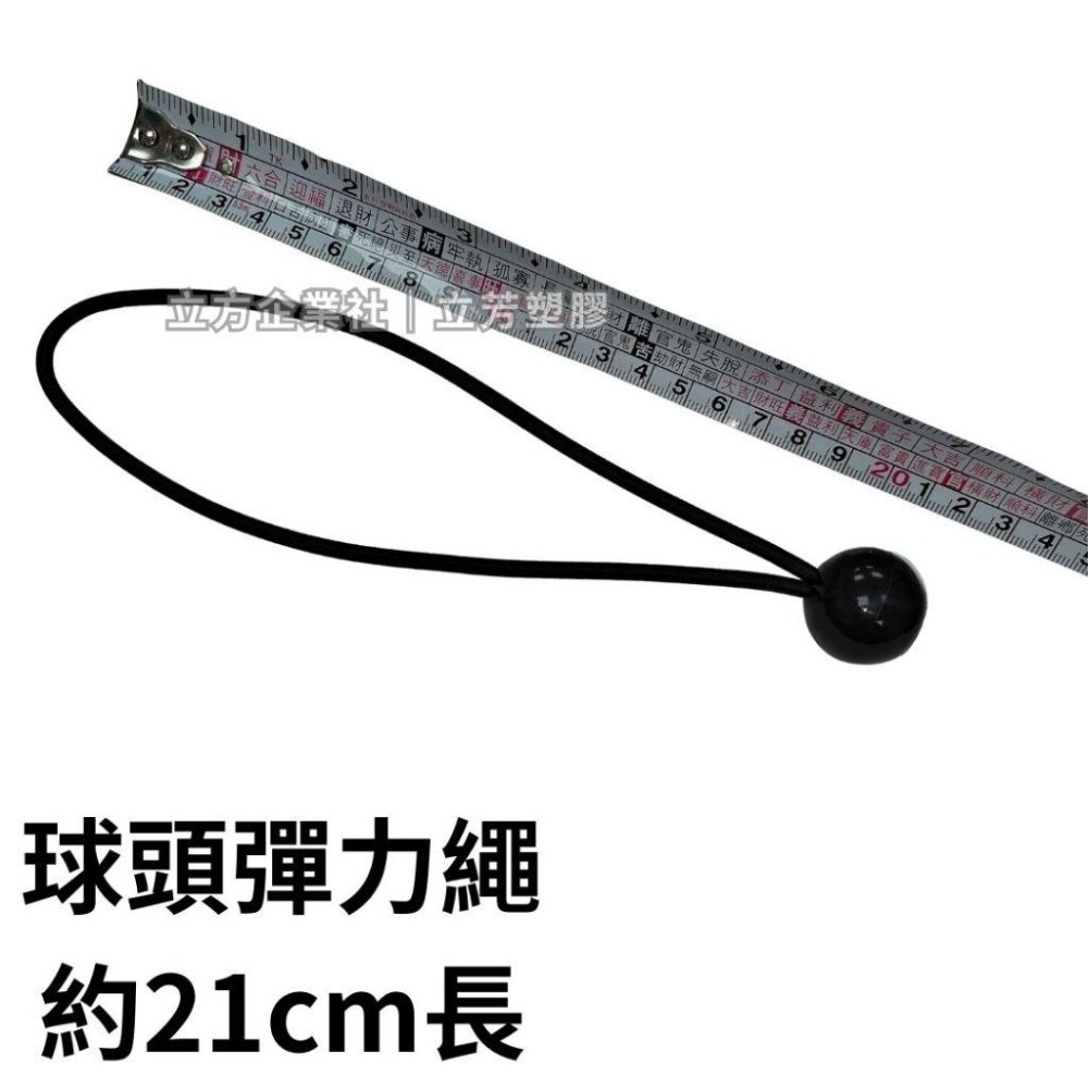 【現貨】 球頭彈力繩 長約21cm 圓形豆扣 彈力帶 球頭彈力繩 貨車綁繩 貨車彈力繩-細節圖2