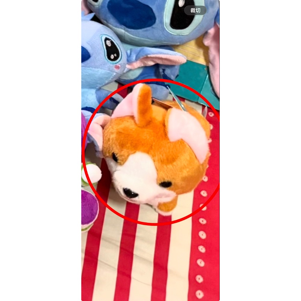 鈣、卵磷脂、帽T、玩偶-細節圖3