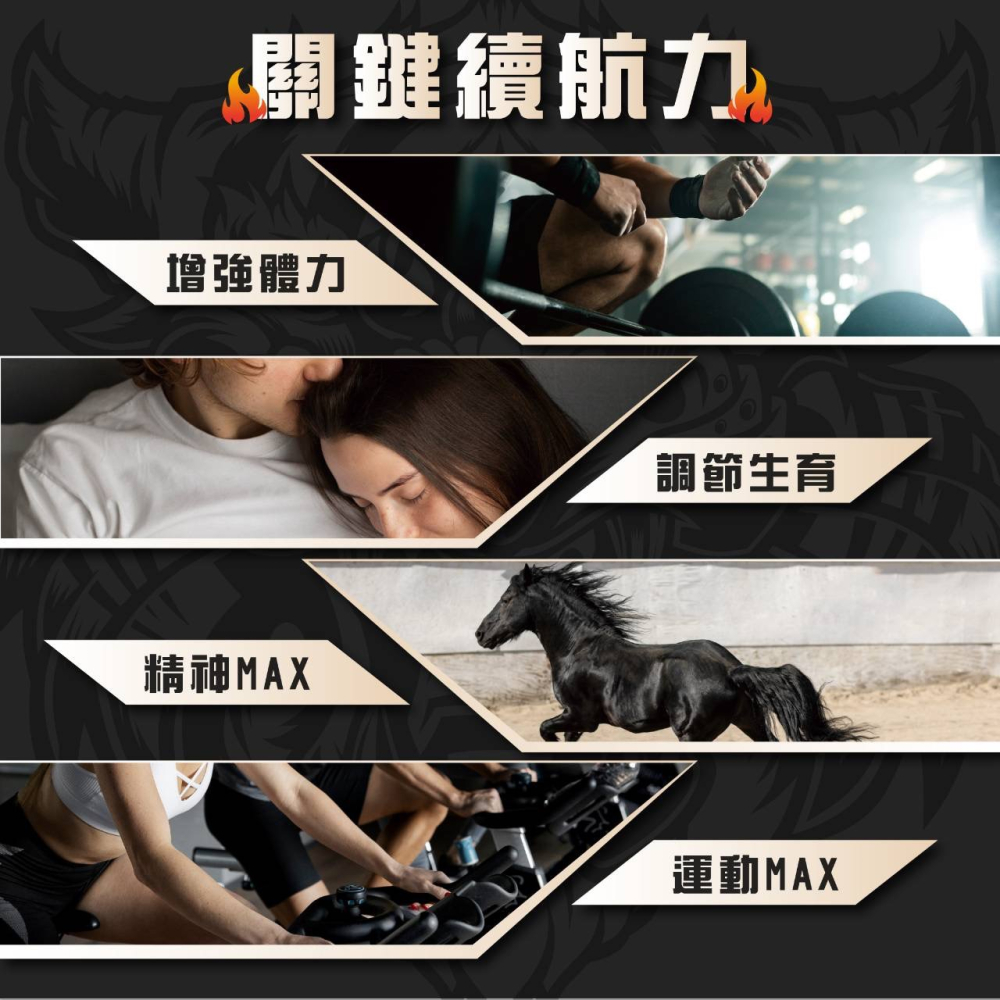 黑瑪英雄 純黑瑪卡萃取 5000mg 增強體力調節生理機能-細節圖3