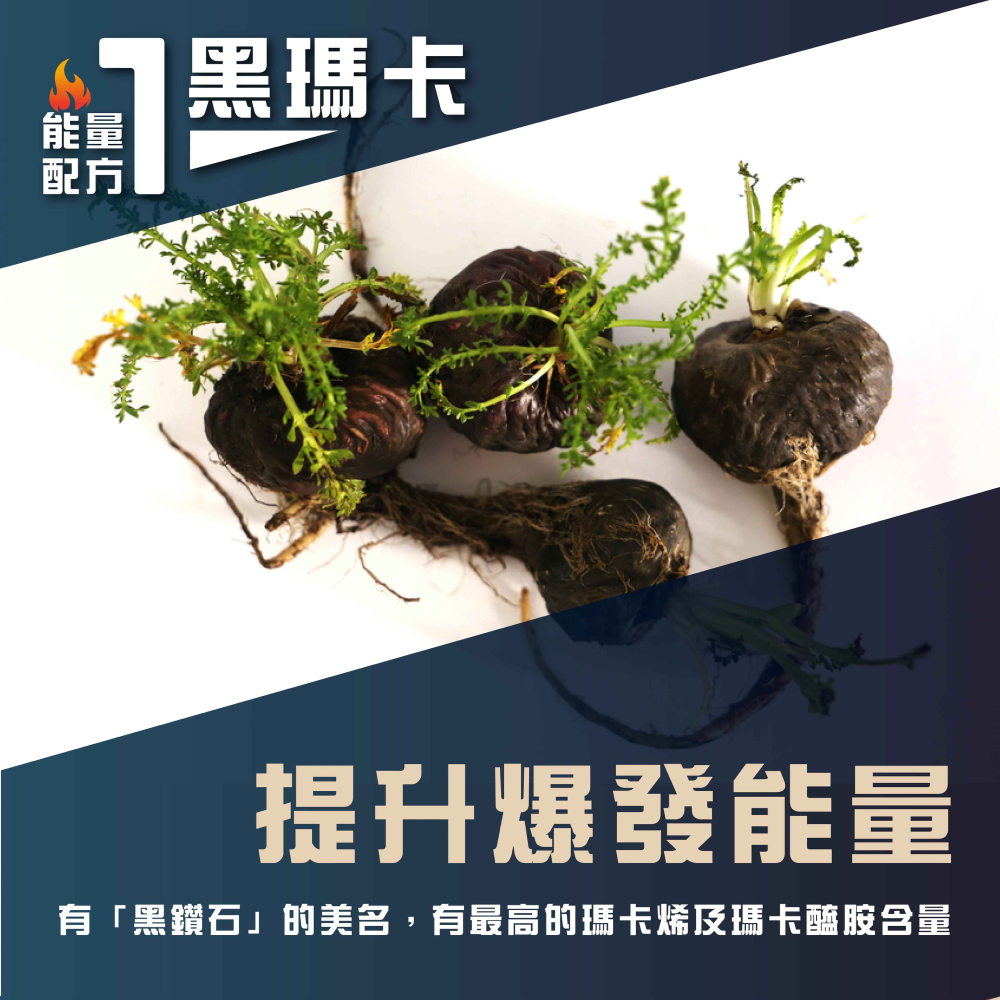 黑瑪英雄 純黑瑪卡萃取 6倍黑瑪卡 3000mg 增強體力調節生理機能-細節圖4