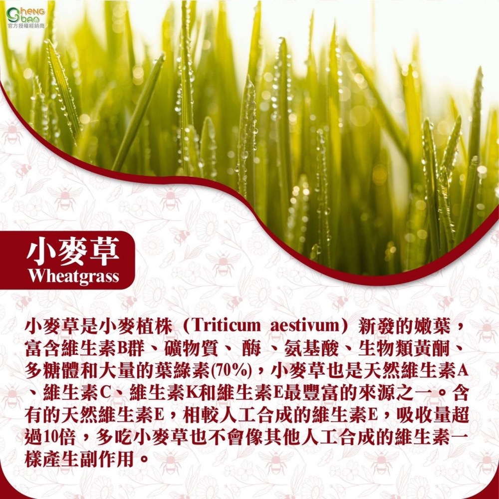 亮晶腈高單位600型 全新升級GPLS+OPLS 晶亮舒適水潤有感 生寶國際生技-細節圖3