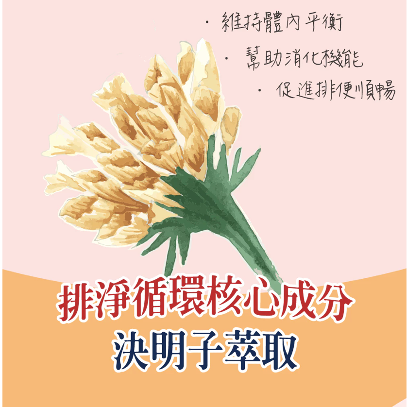 LALASO II 排 複方膠囊 (30粒/盒)  加強代謝動能消耗有感-細節圖6