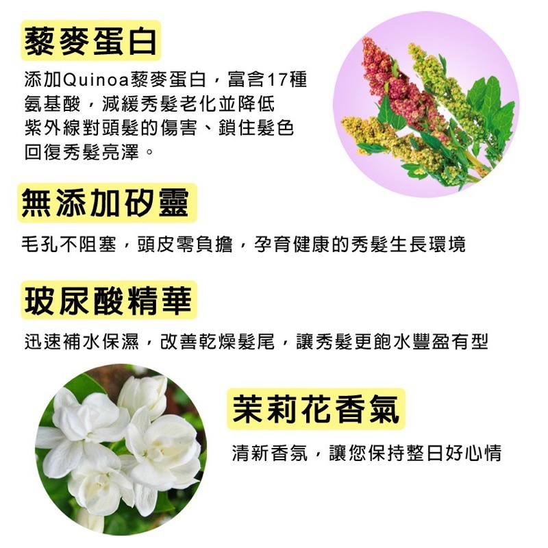 【花香5】原效洗髮乳/潤髮乳-1100G-細節圖3