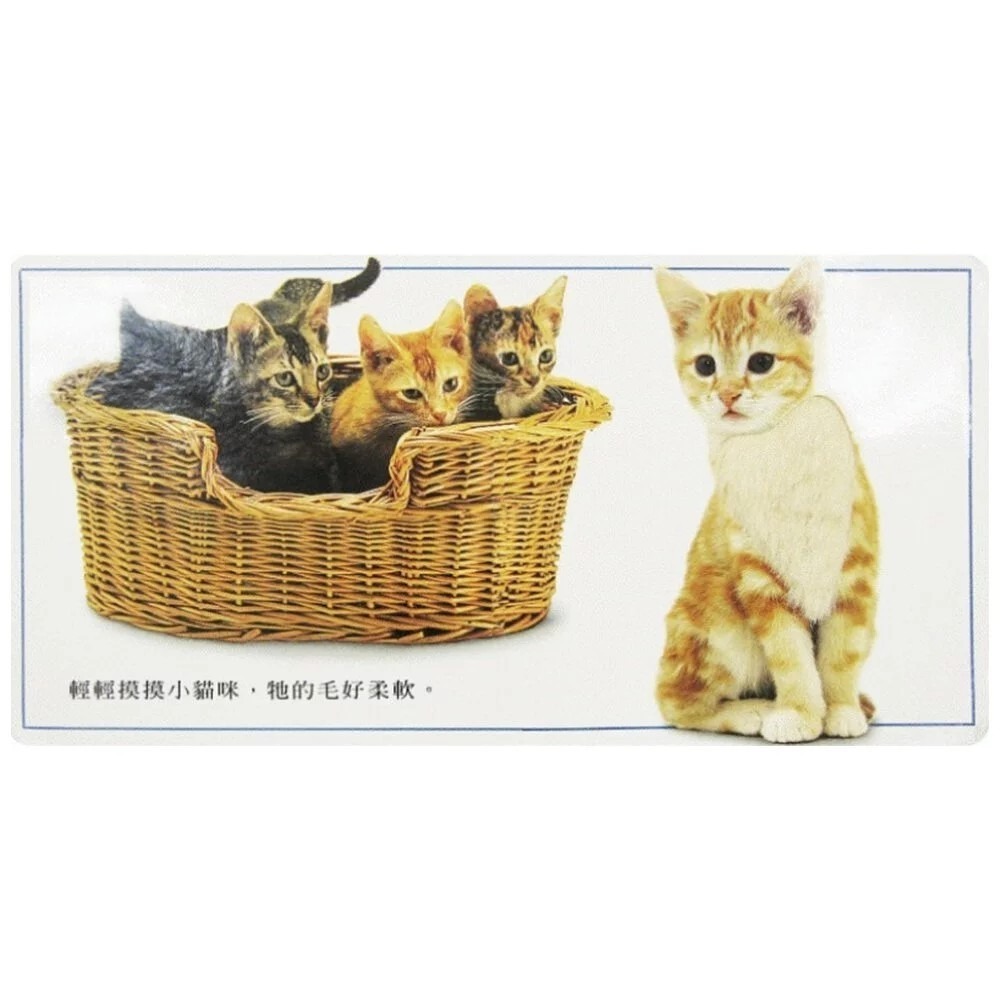 上誼 絕版書-好玩的東西（觸覺遊戲書） DK小小感官系列-細節圖4