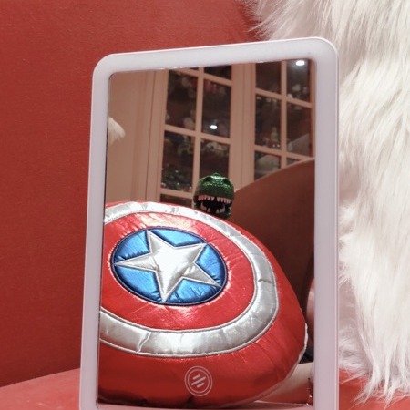 現貨/隨身旅遊平板補光化妝鏡-細節圖3