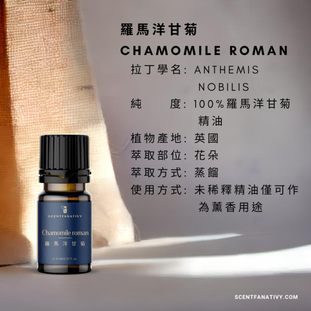【詩梵娜香氛】羅馬洋甘菊精油 10ml | Chamomile roman 產地英國 花朵蒸餾-細節圖2