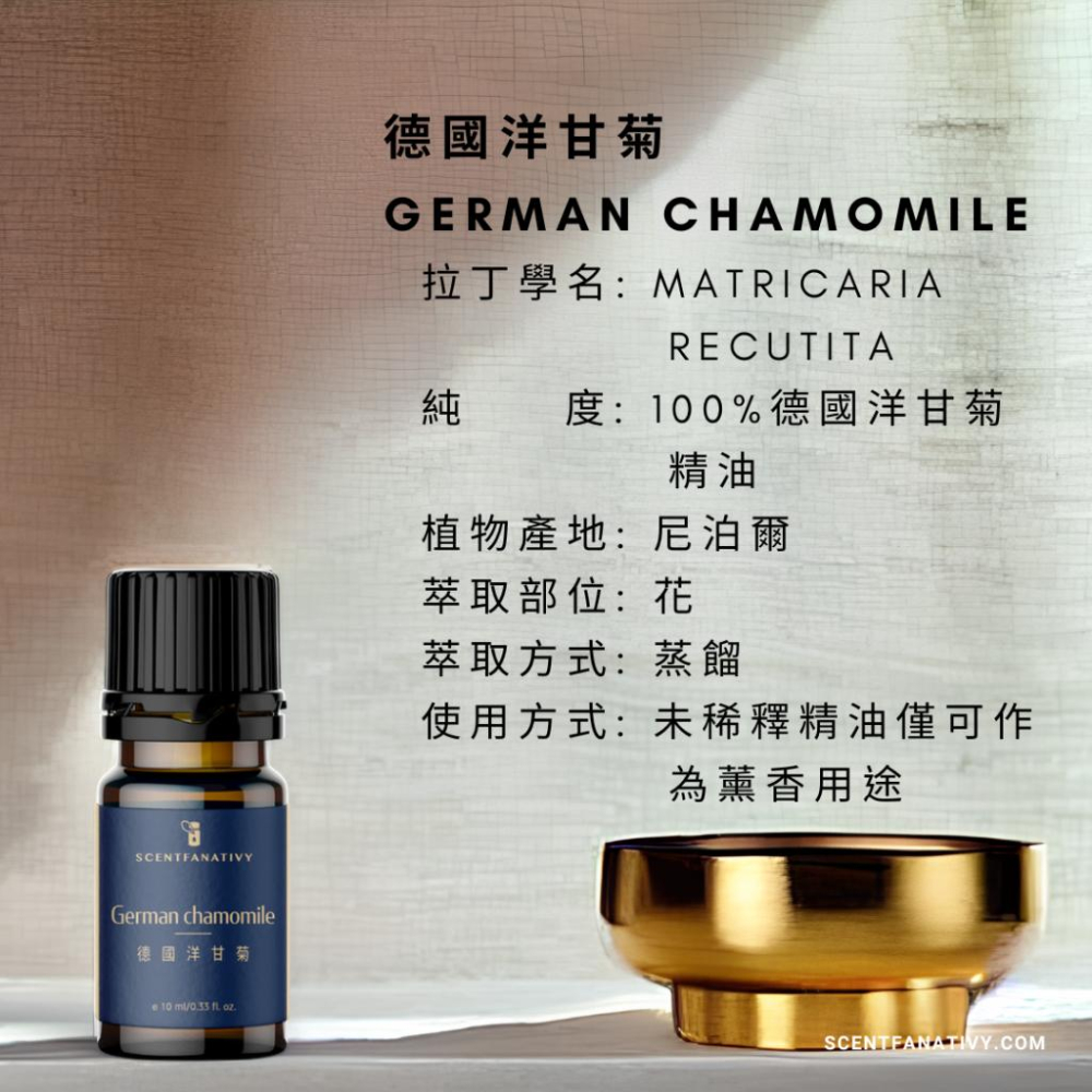 【詩梵娜香氛】德國洋甘菊精油 10ml | 花蒸餾 產地尼泊爾 洋甘菊精油 母菊天藍烴 German Chamomile-細節圖2