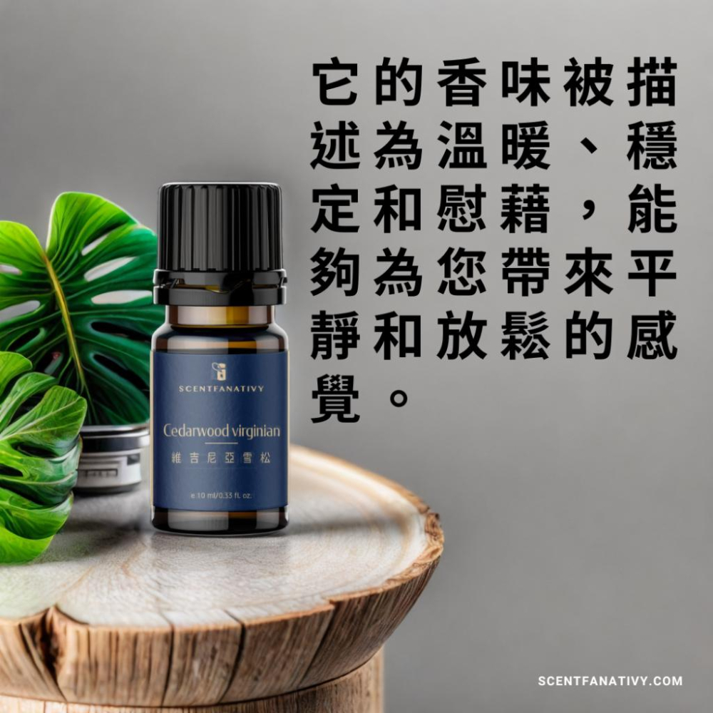 【詩梵娜香氛】維吉尼亞雪松精油 10ml | Cedarwood virginian 產地美國 木質蒸餾-細節圖3
