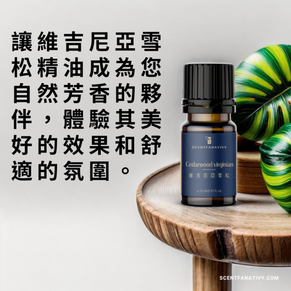【詩梵娜香氛】維吉尼亞雪松精油 10ml | Cedarwood virginian 產地美國 木質蒸餾-細節圖4