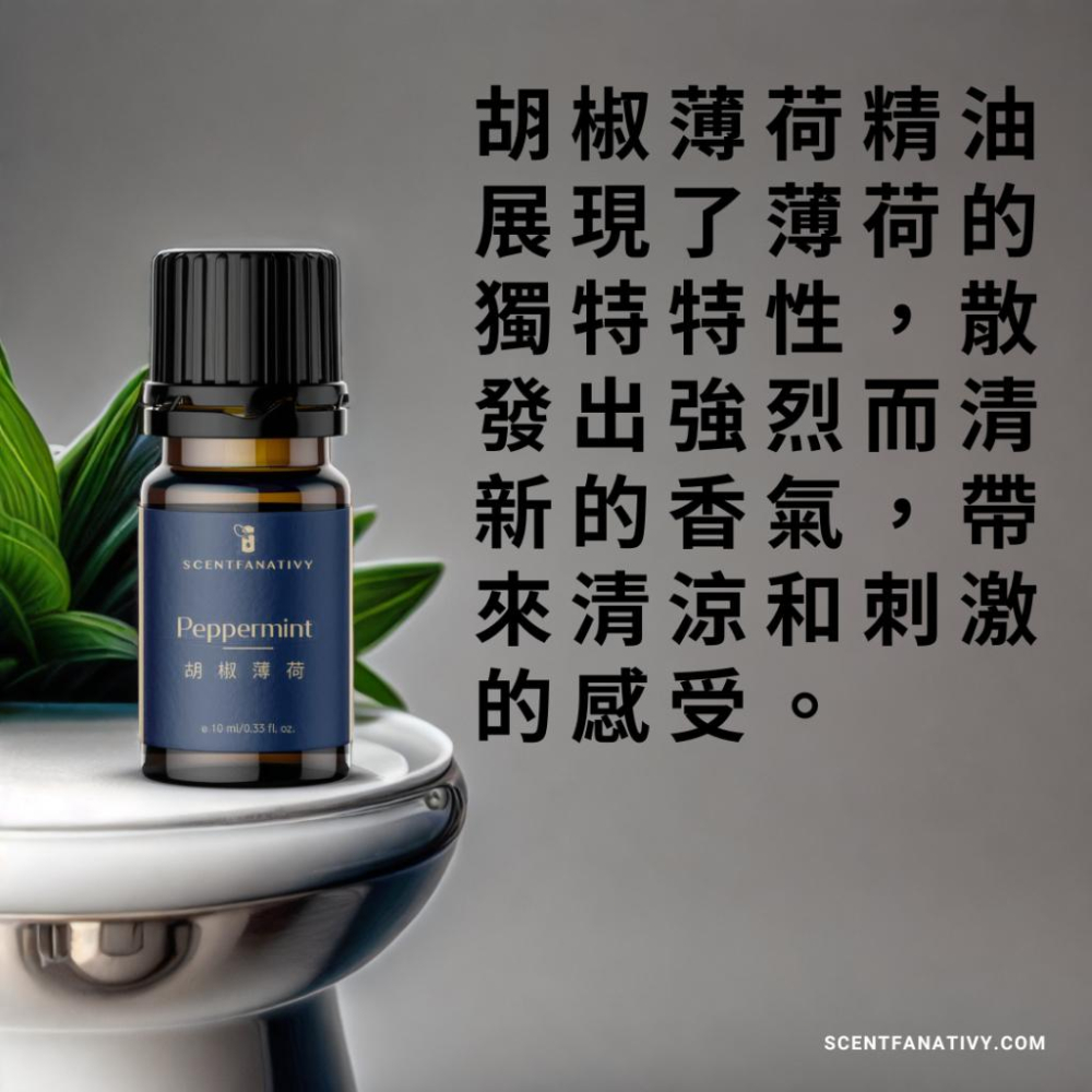 【詩梵娜香氛】胡椒薄荷精油 10ml | Peppermint 產地印度 葉片蒸餾 學名Mentha piperita-細節圖3