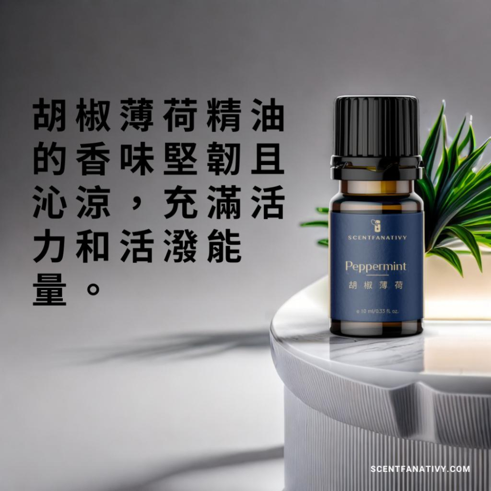 【詩梵娜香氛】胡椒薄荷精油 10ml | Peppermint 產地印度 葉片蒸餾 學名Mentha piperita-細節圖4