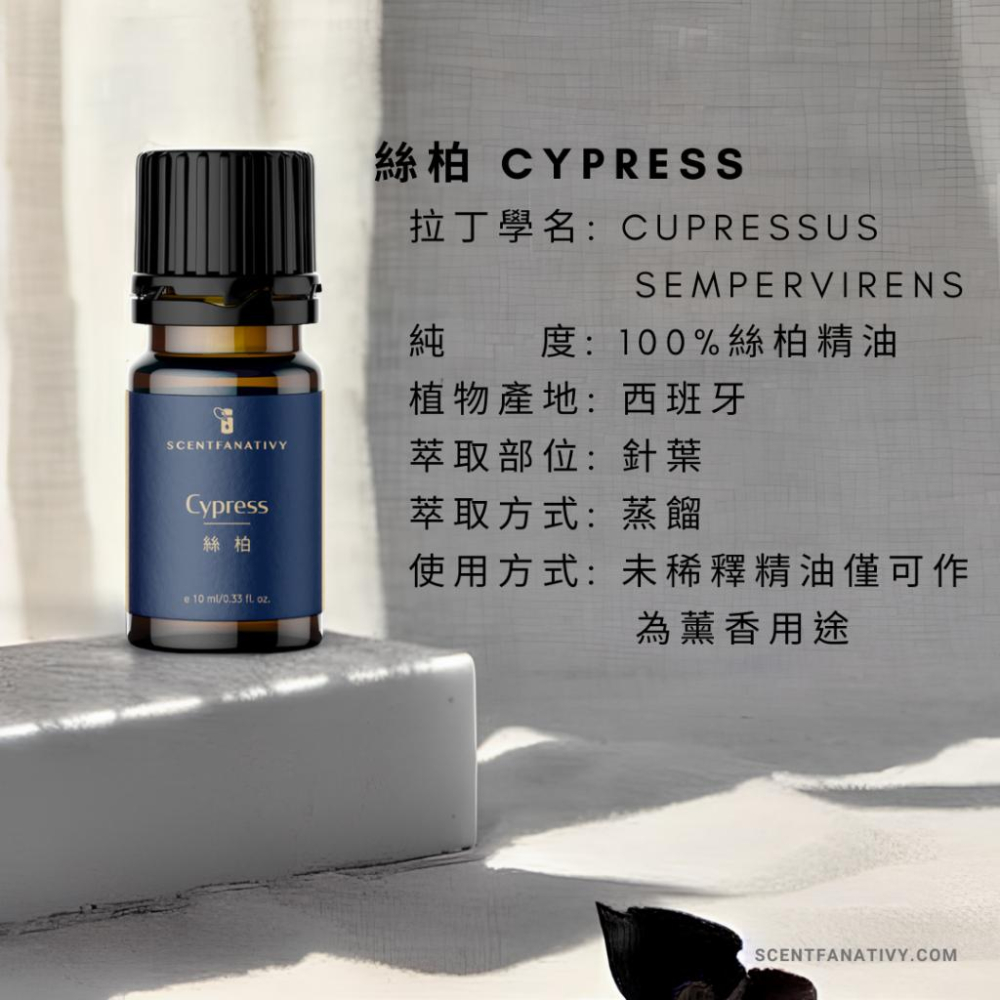 【詩梵娜香氛】絲柏精油 10ml | Cypress 產地西班牙 針葉蒸餾 西洋檜 絲柏葉 毬果 木質感-細節圖2