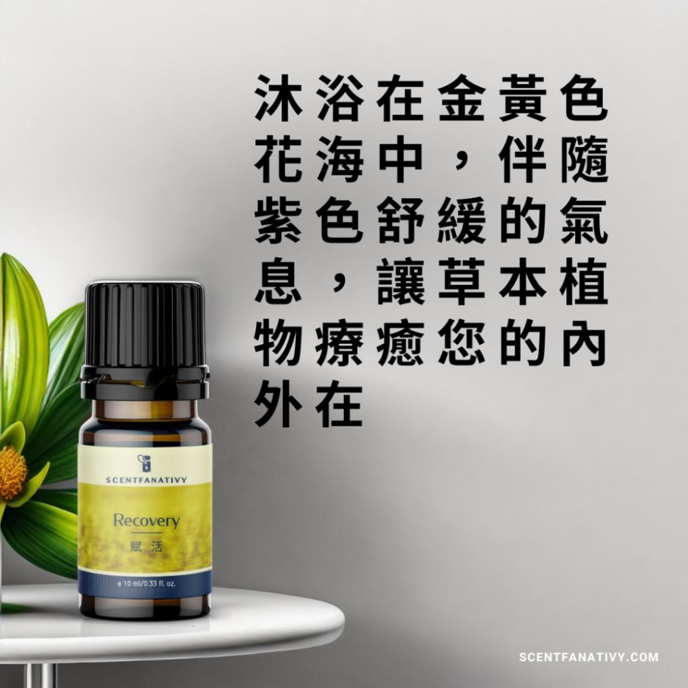 【詩梵娜香氛】賦活 Recovery - 複方精油 10ml-細節圖2