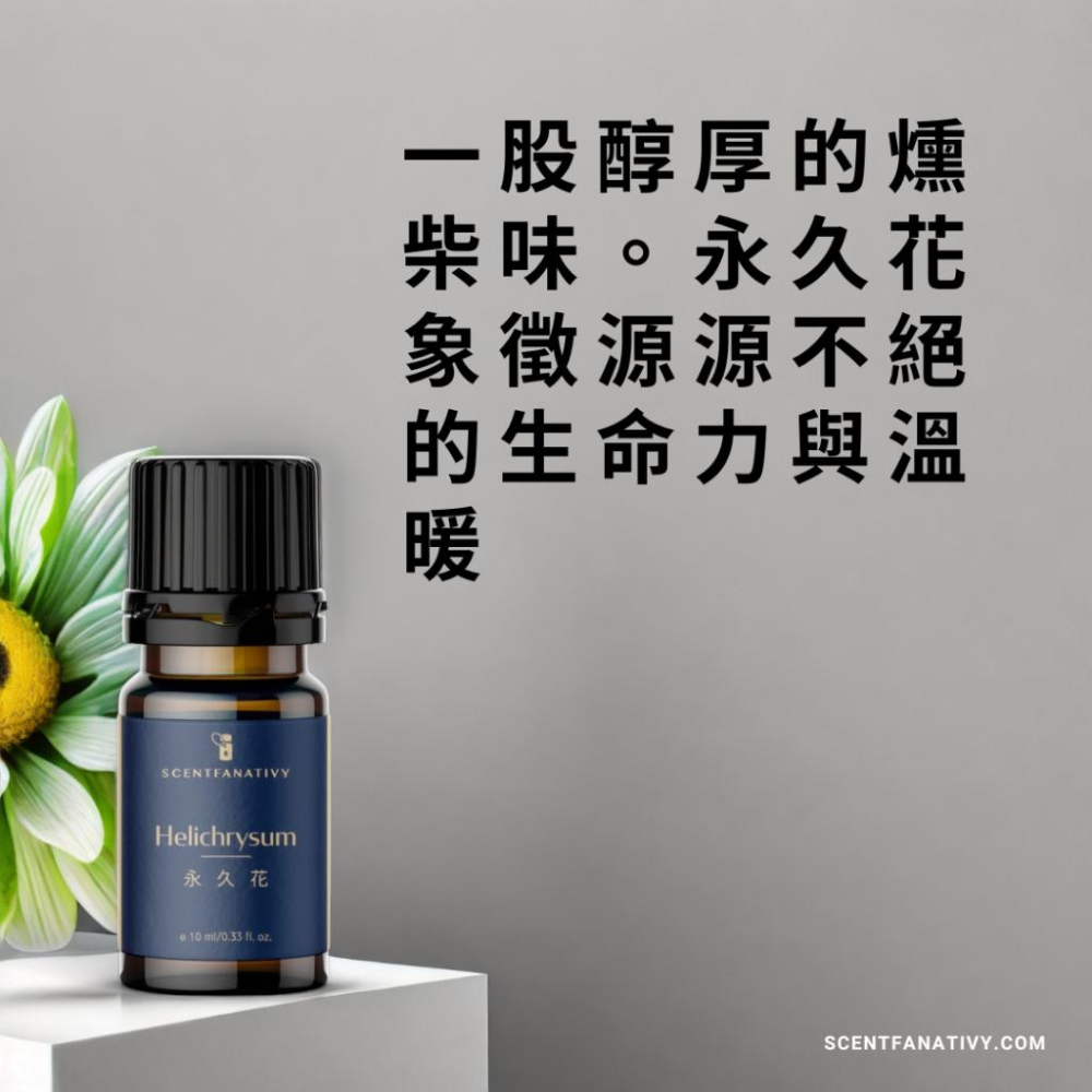 【詩梵娜香氛】永久花精油 10ml | Helichrysum 產地斯洛維尼亞 花蒸餾 不凋花 不老菊 咖哩草 蠟菊精油-細節圖2