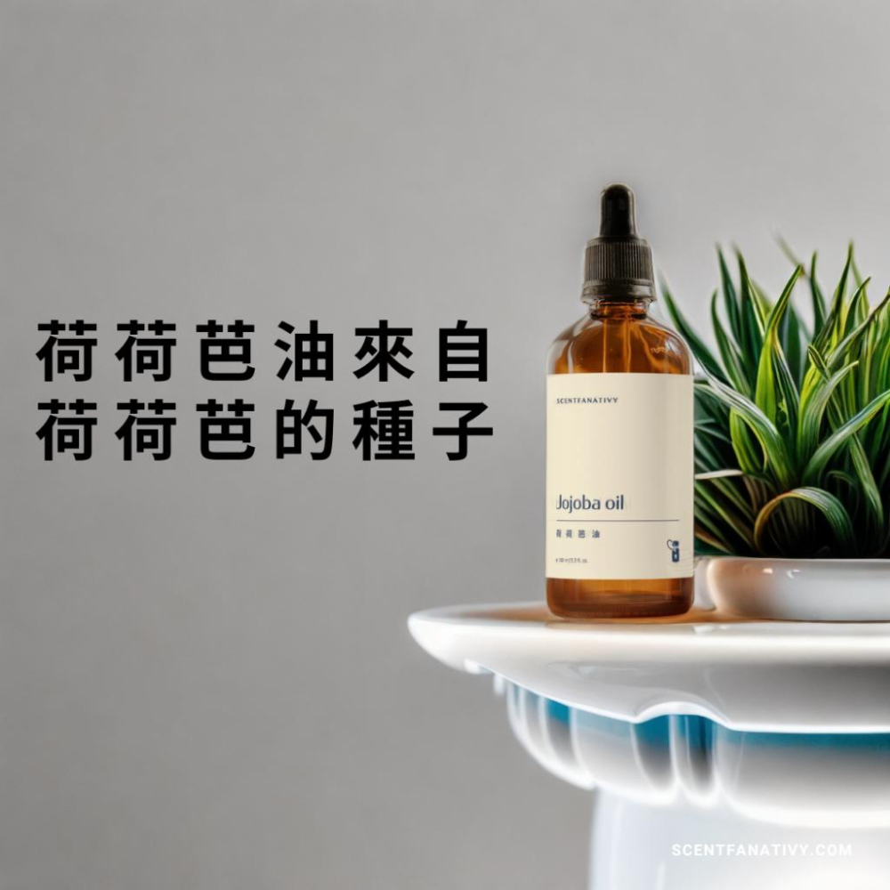【詩梵娜香氛】荷荷芭油 100ml  | Jojoba 產地阿根廷 天然草本基底油 基底油 植物油-細節圖3