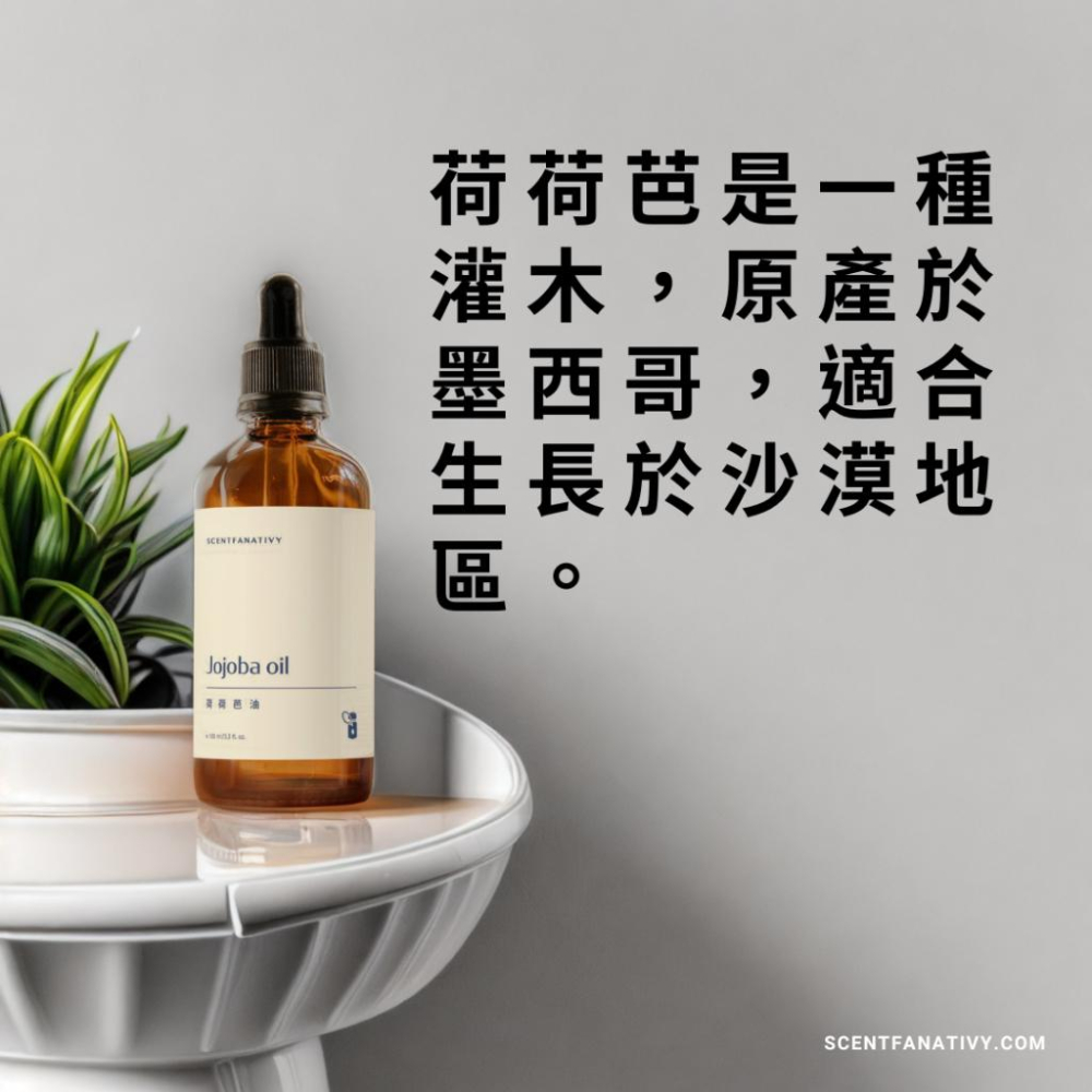 【詩梵娜香氛】荷荷芭油 100ml  | Jojoba 產地阿根廷 天然草本基底油 基底油 植物油-細節圖4