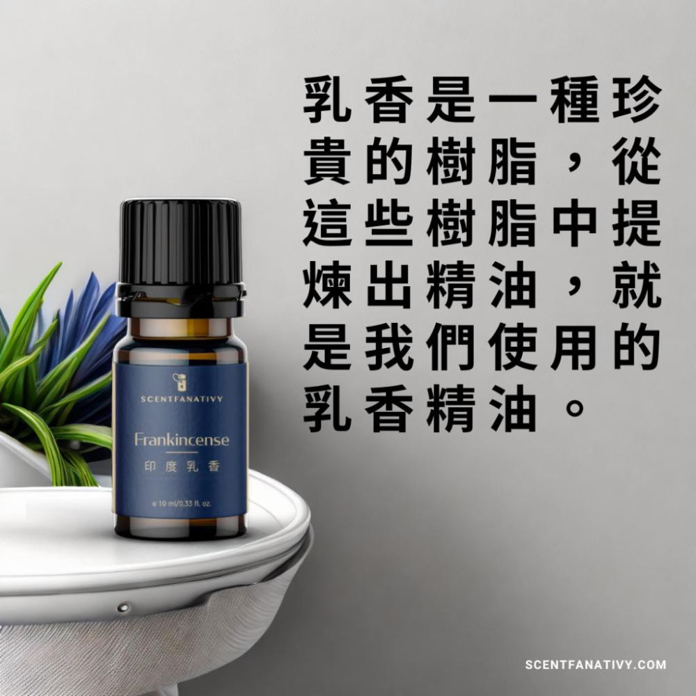 【詩梵娜香氛】印度乳香精油 10ml | Frankincense 產地印度 樹脂CO2超臨界萃取-細節圖2