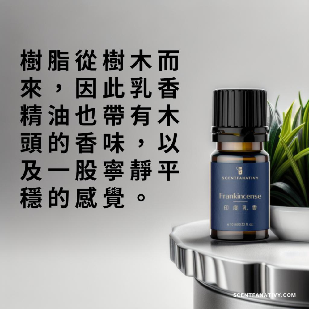 【詩梵娜香氛】印度乳香精油 10ml | Frankincense 產地印度 樹脂CO2超臨界萃取-細節圖3