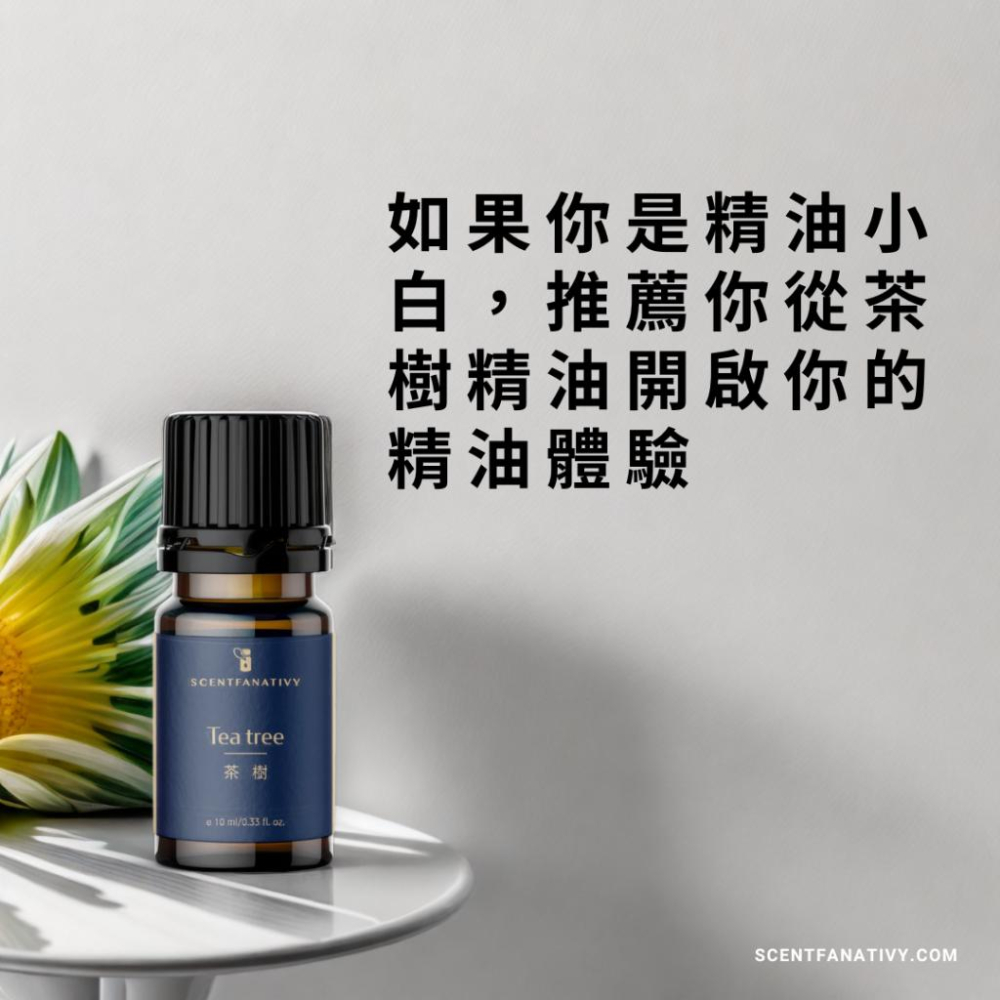 【詩梵娜香氛】澳洲茶樹精油 10ml | 產地澳洲 葉片 蒸餾 互葉白千層 Tea tree-細節圖2