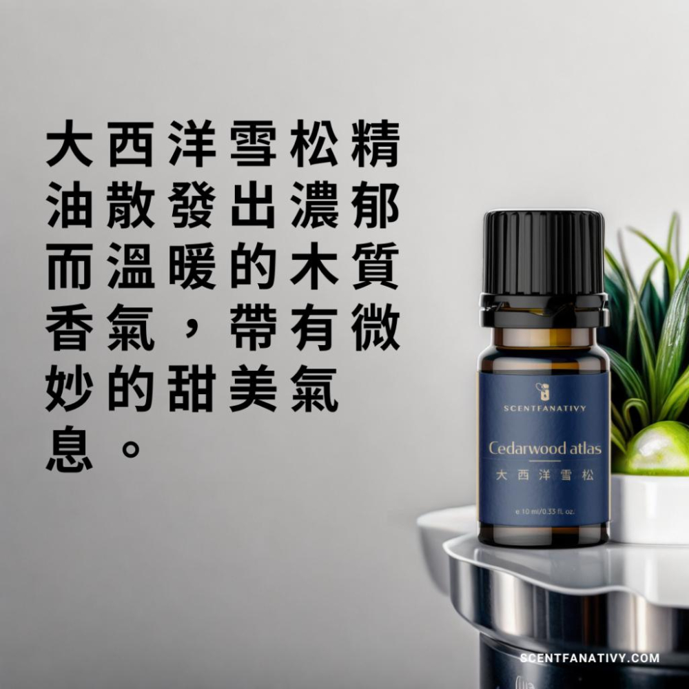 【詩梵娜香氛】大西洋雪松精油 10ml | Cedarwood atlas 產地摩洛哥 木質蒸餾-細節圖2