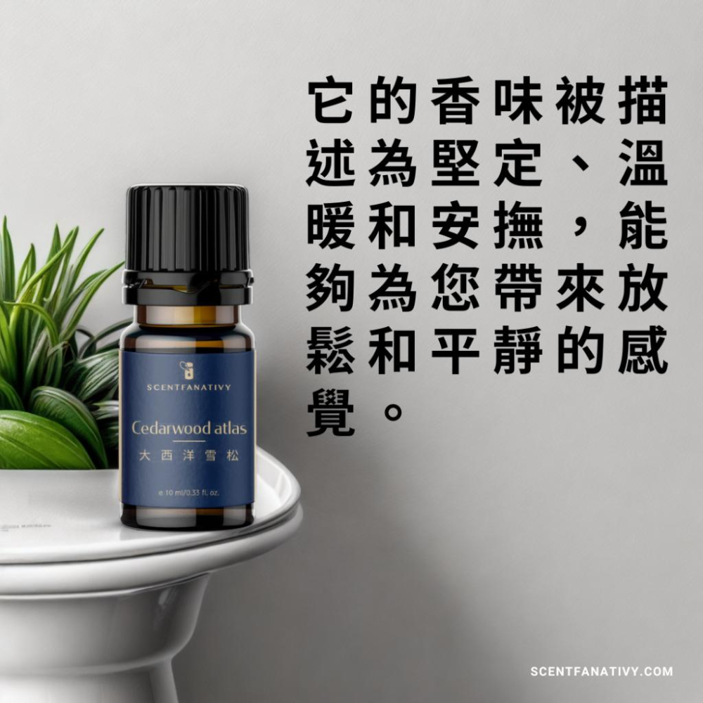 【詩梵娜香氛】大西洋雪松精油 10ml | Cedarwood atlas 產地摩洛哥 木質蒸餾-細節圖3