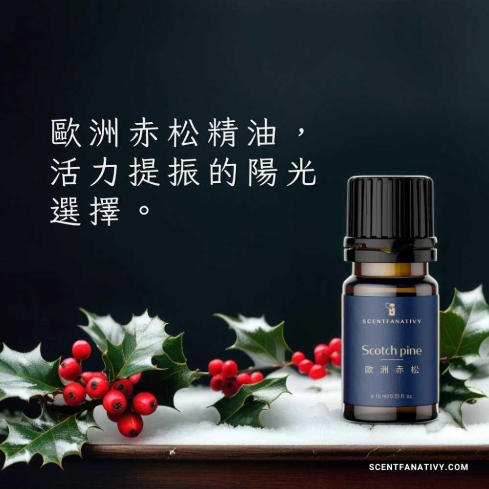 【詩梵娜香氛】歐洲赤松精油 10ml | 針葉 蒸餾 產地法國 蘇格蘭松 松木 精油 Scotch pine-細節圖2