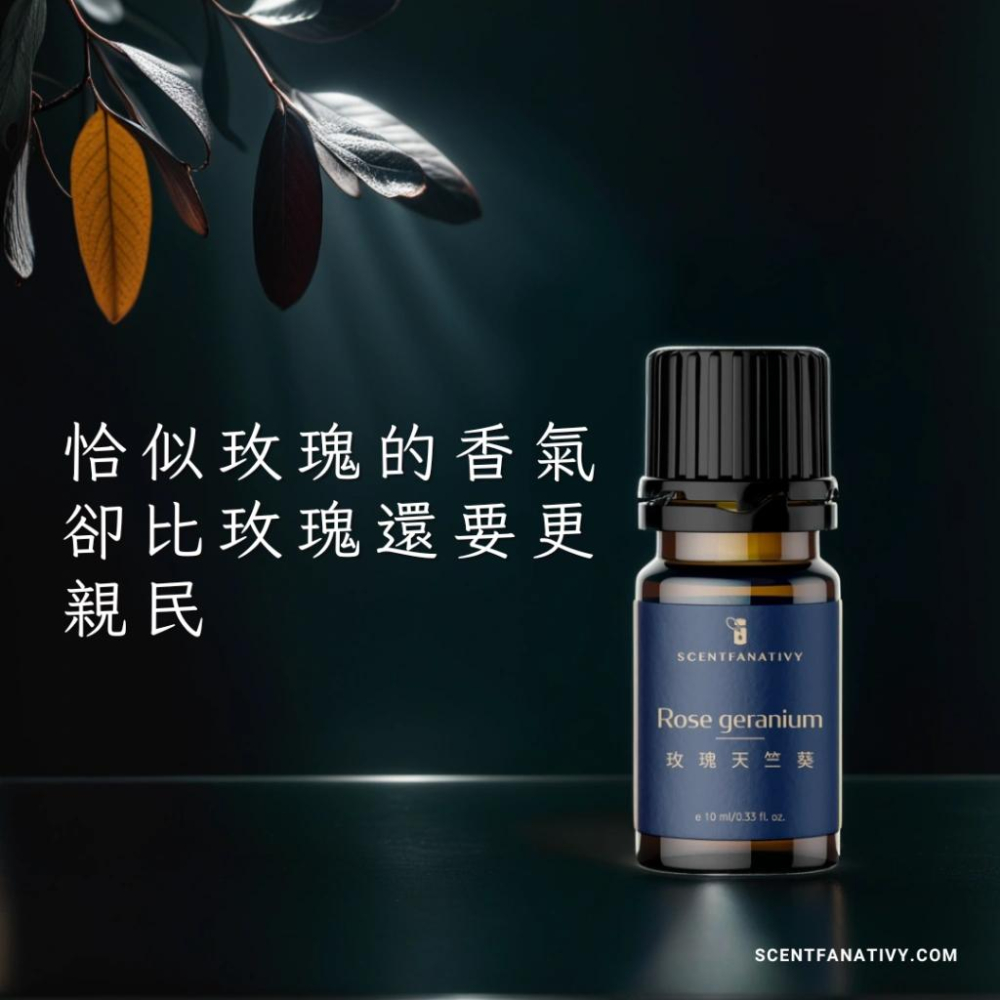 【詩梵娜香氛】玫瑰天竺葵精油 10ml | Rose geranium 產地印度 葉片蒸餾 香茅醇 香葉醇 平價玫瑰-細節圖2