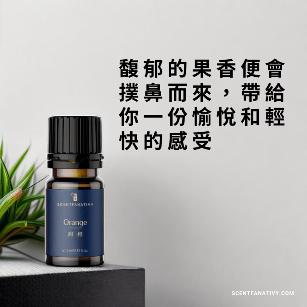 【詩梵娜香氛】甜橙精油 10ml | 果皮冷壓 純淨天然 柑橘系列 柳橙香氣 舒緩香氛 空氣清新 芳療選擇-細節圖2