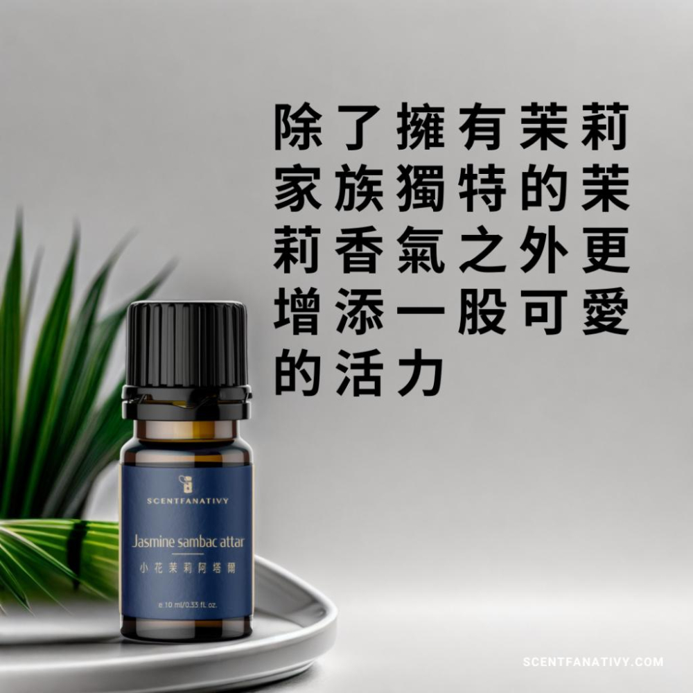 【詩梵娜香氛】小花茉莉阿塔爾 Jasmine Sambac Attar 10ml | 小花茉莉精油 鬘華 三白 花朵蒸餾-細節圖2