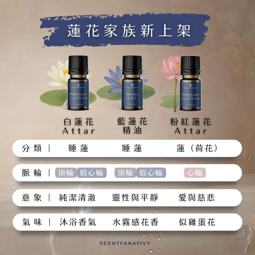【詩梵娜香氛】粉紅蓮花阿塔爾 Pink lotus attar 10ml | 心輪療癒香氣・柔美昇華・開啟愛與包容能量-細節圖4