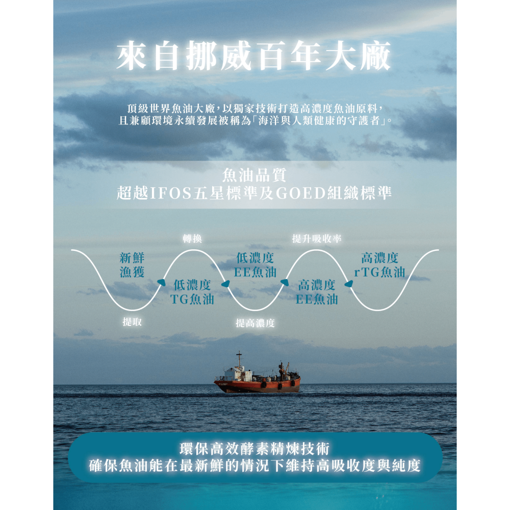 【純淨女神】純淨超能魚油 90%高濃度深海魚油 rTG魚油 90% Omega3 高濃度魚油 小顆好吞 EPA DHA-細節圖8
