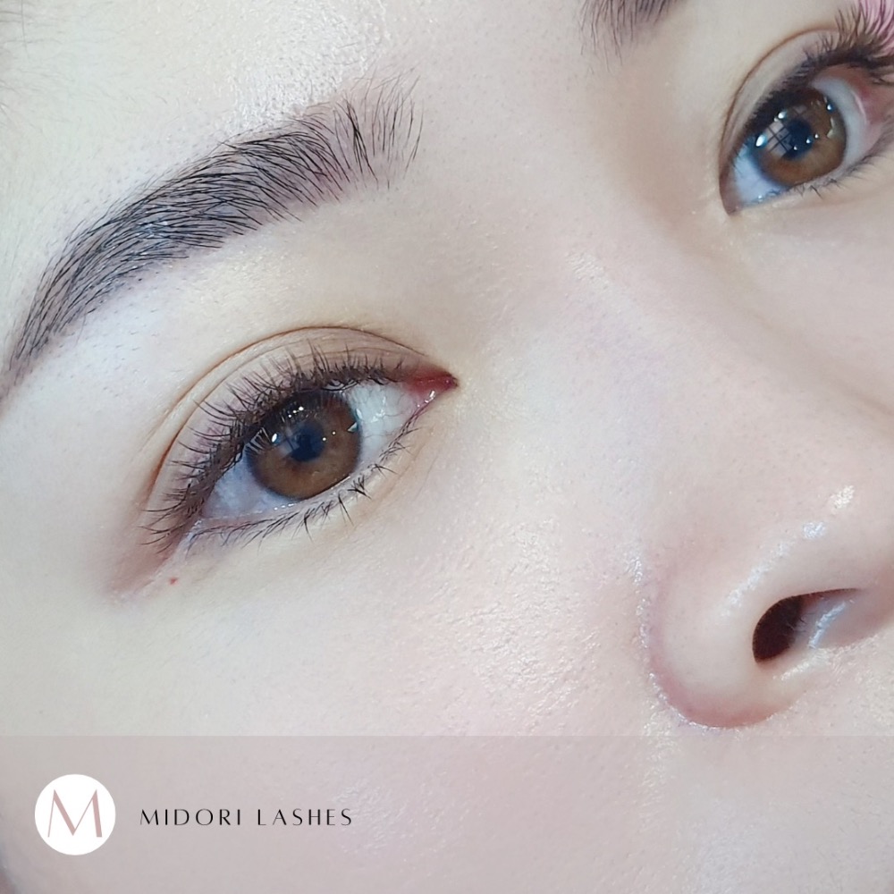 【MIDORI】編織款Y毛 黑茶棕 韓國進口毛料 質感深棕 氣質顯白 舒適柔軟-細節圖2