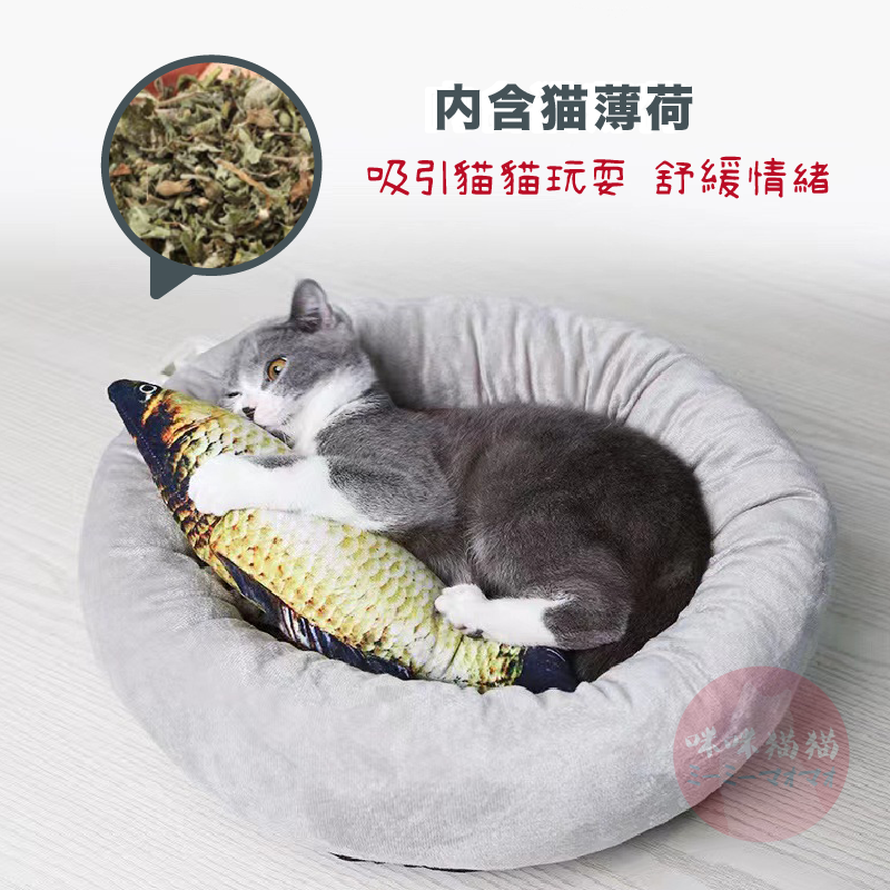 【24H出貨】仿真魚貓草玩具 貓草魚 貓草玩具 貓玩具 魚造型貓玩具 逗貓玩具 貓薄荷玩偶 寵物玩具 咪咪貓貓-細節圖2