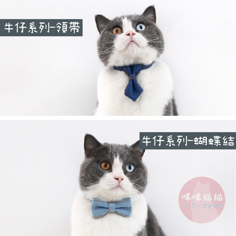 【24H出貨】寵物領結項圈 寵物項圈 貓項圈 狗項圈 項圈 可調式項圈 領帶項圈 頸圈 蝴蝶結項圈 咪咪貓貓-細節圖2