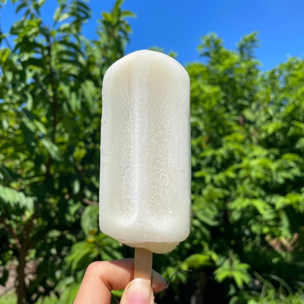 台東｜火車頭釋迦｜釋迦冰棒 一組20支  運費只要99元-細節圖2