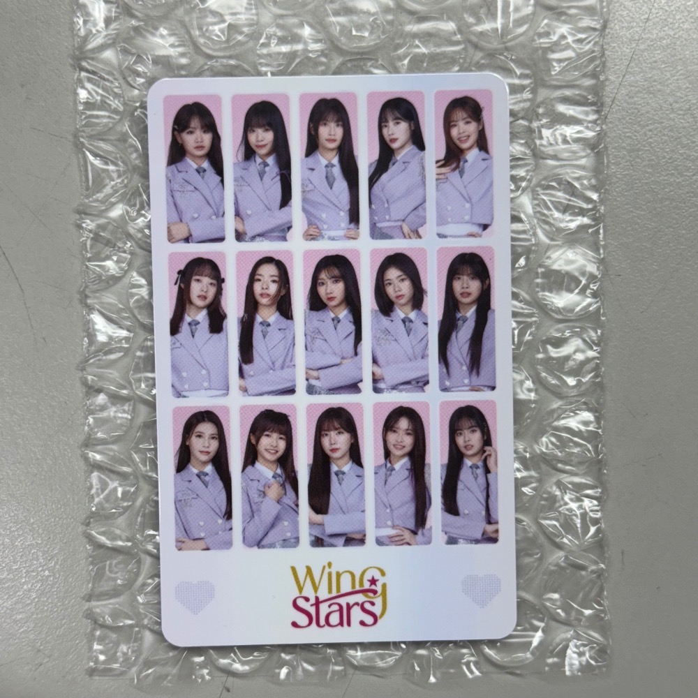 台鋼雄鷹 Wing Stars icash．一粒 團體-規格圖1