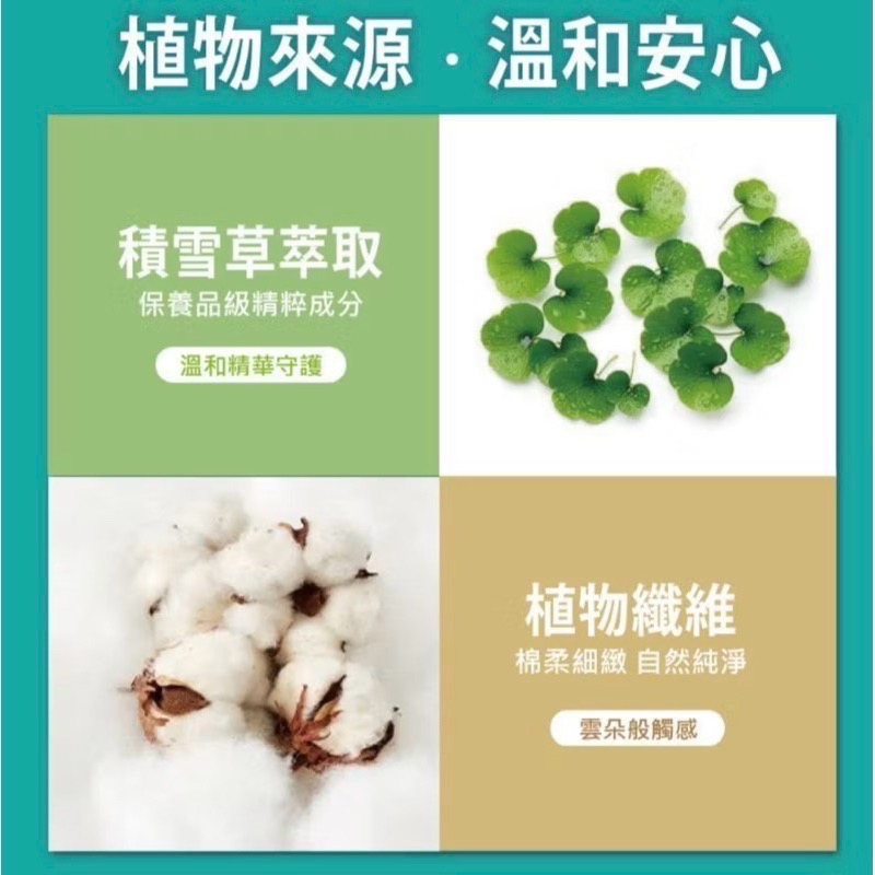 《OP》德適淨酒精擦-細節圖5