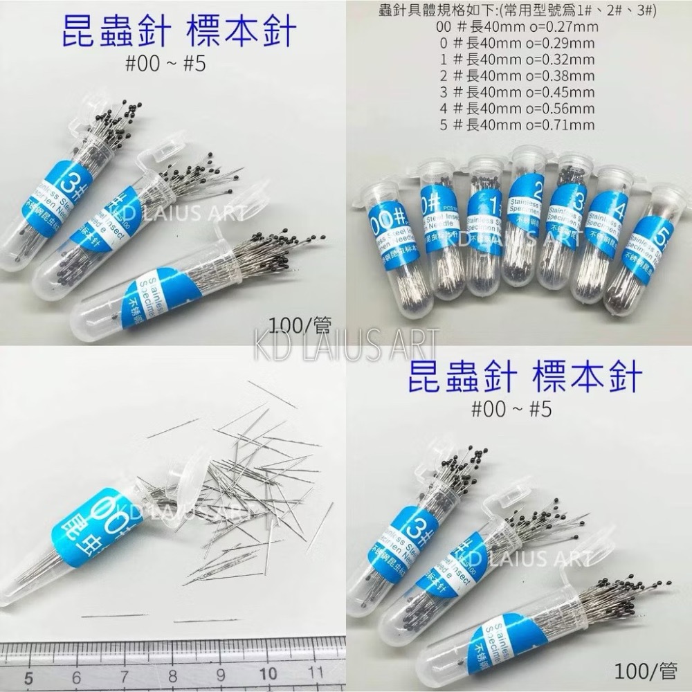 昆蟲針 標本針 一體針 微針 德國 進口 不銹鋼 硬度高 針尖 鋒利 彈性好 膠頭 蟲針-細節圖2