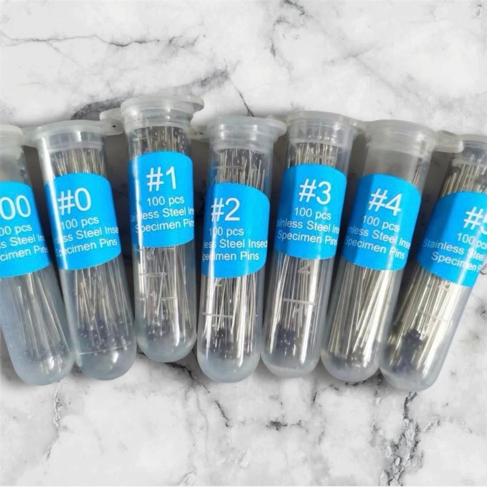 昆蟲針 標本針 一體針 微針 德國 進口 不銹鋼 硬度高 針尖 鋒利 彈性好 膠頭 蟲針-細節圖6