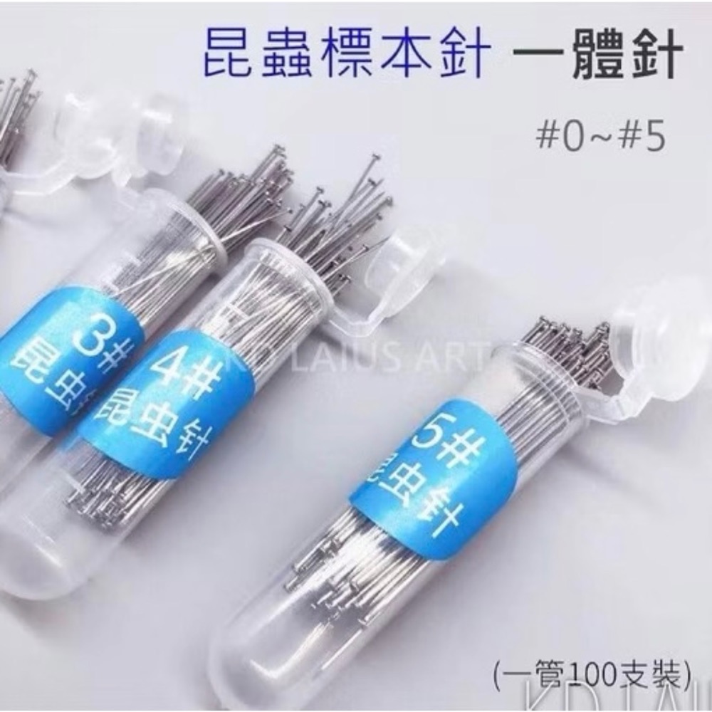 昆蟲針 標本針 一體針 微針 德國 進口 不銹鋼 硬度高 針尖 鋒利 彈性好 膠頭 蟲針-規格圖6